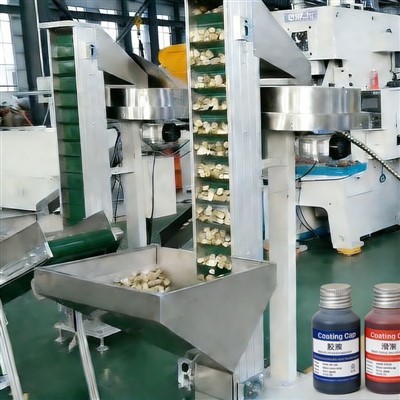 Dangos srieginių dangtelių gamybos linija